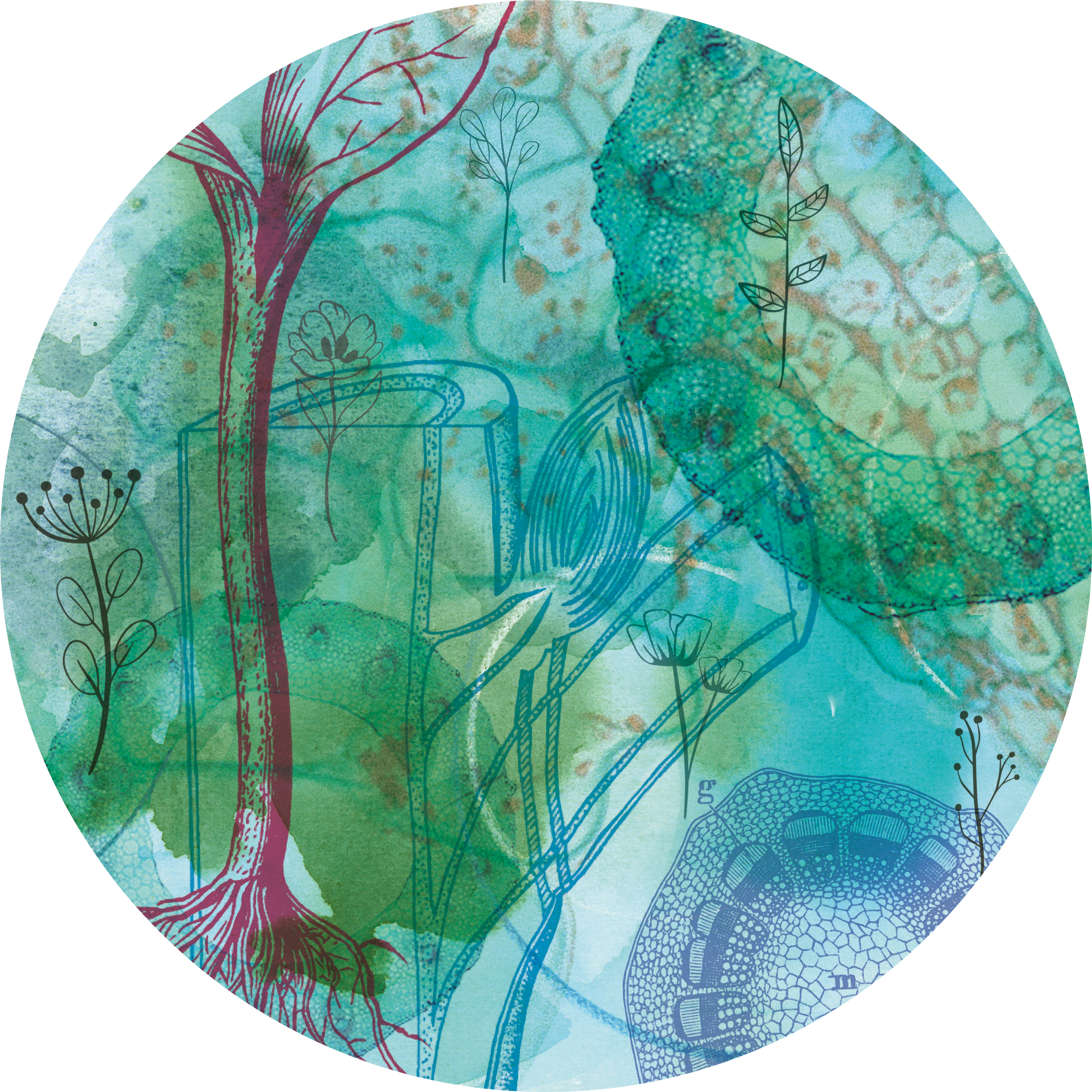 Stamm – Stem – Tige